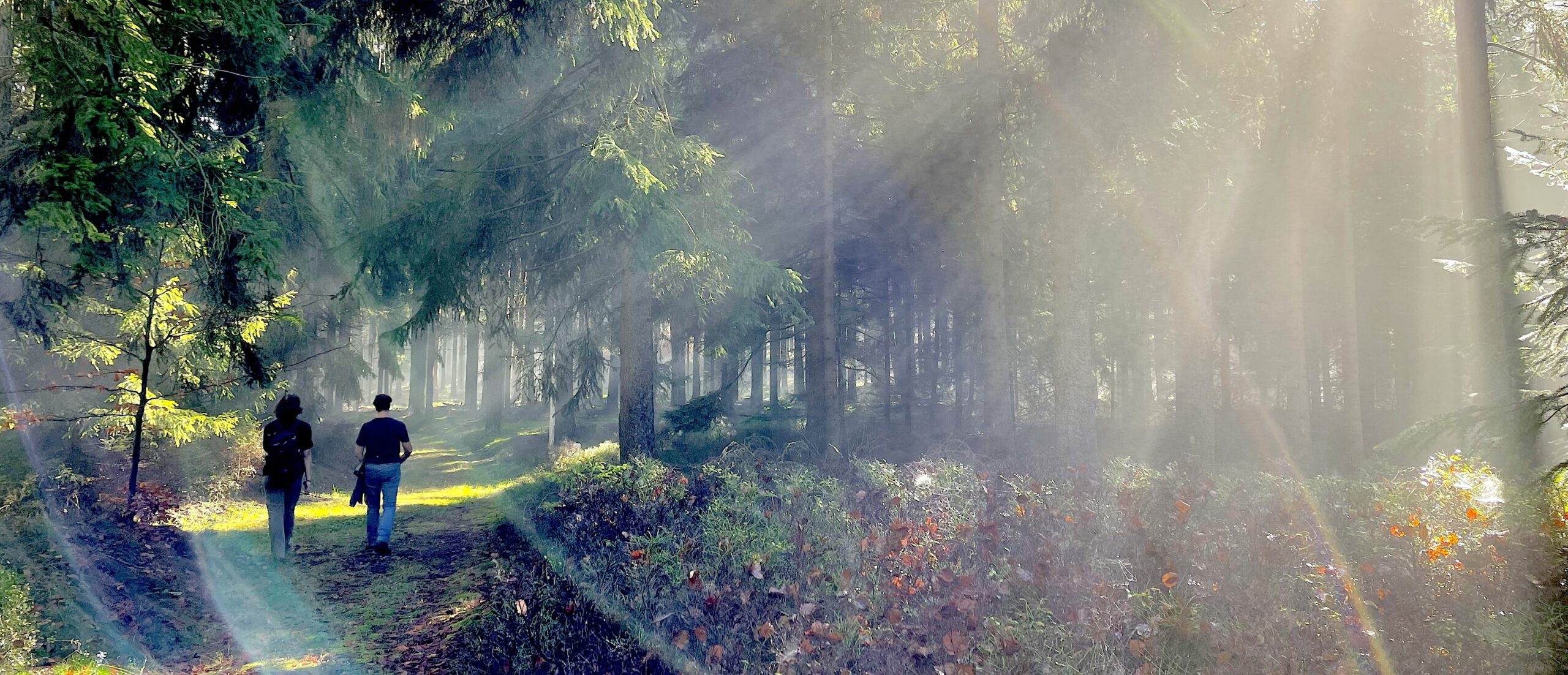 Wandern